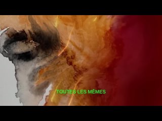 Mylne Farmer - XXL (Blue Stahli Remix) Lyrics Video