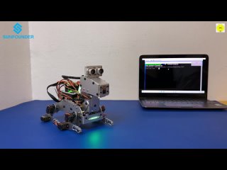 Amazing! I Built a Robot Dog and Made it Real dog , Raspberry Pi