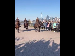Обезьяны на конях в Сан-Франциско!