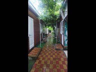 Дождь добрался до Сочи  А в Лазаревском районе- прямо ливень, ветер и град!  🎥 lazarevka1839, Анастасия Козлова,... (видео)