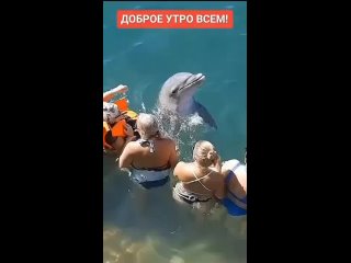 ДОБРОЕ УТРО ВСЕМ!.mp4