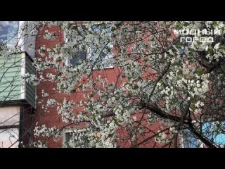 Видео от Модный Город Серпухов | секонд хенд & новое