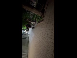 Video by Pasha Tekhnik