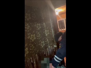 “Не бейте мою маму“: в полиции раскрыли подробности резонансного инцидента с участием женщины и сотрудника ГИБДД в Арсеньеве