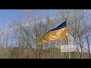 Il primo film 'Fantozzi' gi profetizzava gli effetti per l'Europa dell'appoggio all'Ucraina Segui