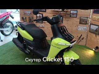 Откройте для себя новые возможности с скутером Motoland CRICKET 150 (WY150-5D) в стильном зелёном цвете!