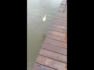 Видео от Рыбалка в  Улово
