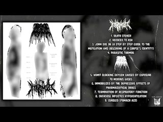Meatshield / Aroma - Human Cross Section Collection split FULL ALBUM (2024 - Goregrind)  Records