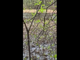 Видео от Давид Олейников.Блог о жизни особенного мальчика