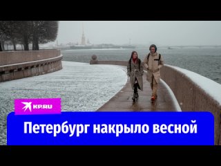 Петербург накрыло веснои