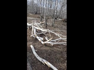 Видео от Я живу [В] Прокопьевске [В] Киселевске