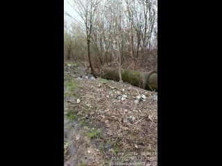 Деревня Вырубово 7 километров от столицы России, свалка мусора!