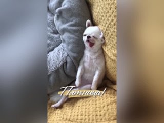 Доброе утро!🙃 (видео)
