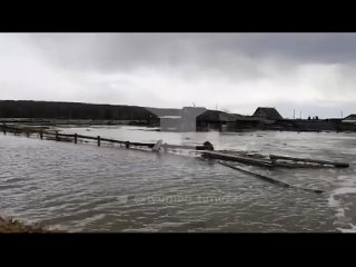 Прорвало дамбу в деревне Заборка в Викуловском районе