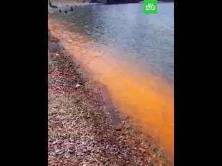 Прибрежная полоса во Владивостоке окрасилась в оранжевый цвет, но для человека это не опасно. Просто из-за ранней весны начала ц