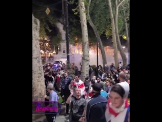 В Тбилиси силовики водометами и перцовым газом разгоняют протестующих, которые пытаются прорваться на территорию парламента, опп