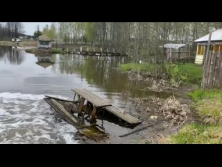 Видео от “Три медведя“ База отдыха и рыбалка в Брянске