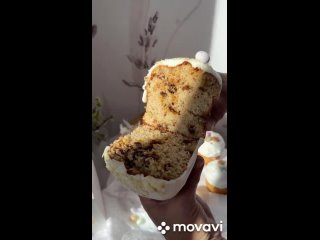 MovaviClips_Video_20240428-174928.mp4