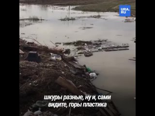 «Сено, животные, пакеты, бутылки»: обратило внимание чиновников на размытую из-за паводка свалку