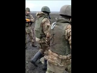 Видео от Военные Сводки - Чё там в мире