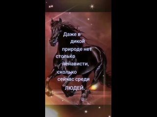 ludmila328_2024-05-07-11-02-49_1715068969846.mp4