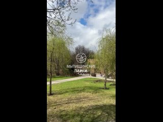 Видео от МБУК “Единая дирекция парков“