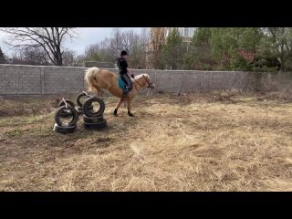 Видео от ЧК Пегас “Прокат,  аренда, лошадей“