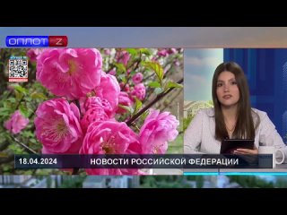 В Донецкой Народной Республике выращивают редкий для России миндаль