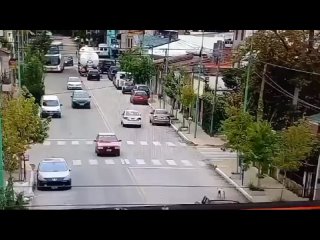 Yo no lo obligo: Maneja con su perro sobre el techo del auto y causa conmocin