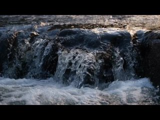 Видео от Ритмы Русского Рока: Песни, Стихи, Клипы