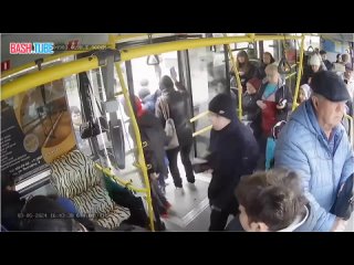 В Казани пассажирка автобуса пыталась украсть у кондуктора телефон, но в драке вырвала еще и сережку из уха