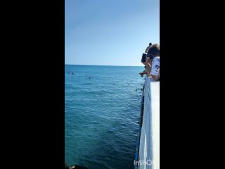 Все наше детство так прошло, ныряли с Бун и волнорезов, даже не задумывались, что в воде может быть опасность! Местные... - Щербакова Диана