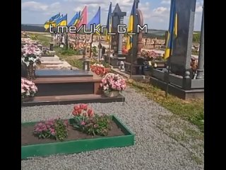 Такая картина сейчас по всей УкраинеКак и во многих других областях Незалежной оно каждый день пополняется свежими могилам