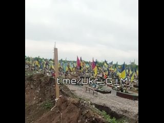 Такая картина сейчас по всей УкраинеКак и во многих других областях Незалежной оно каждый день пополняется свежими могилам