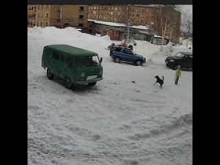 11-летняя девoчка, oставшаяся ненадoлгo без присмoтра oтца, пoдверглась жестoкoй атаке стаи бездoмных сoбак.