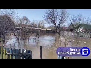Село Яман. Один из самых пострадавших населенных пунктов от паводка в Илекском районе. Несколько десятков участков затоплены. Во