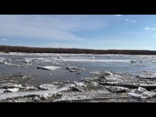 Иртыш тронулся! В районе Ханты-Мансийске на реке пошел лёд