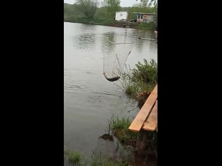 Video od Клёвая рыбалка в Лёдово  (М.О. Каширский район)