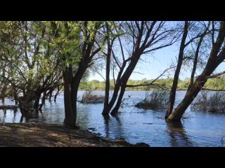 Video by В деревеньке у Оки