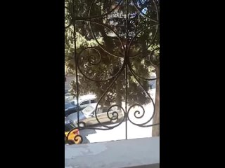 Видео от Аренда квартир и домов в Ялте