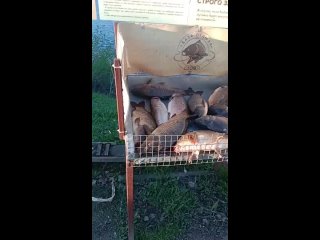 Видео от Рыбалка в  Улово