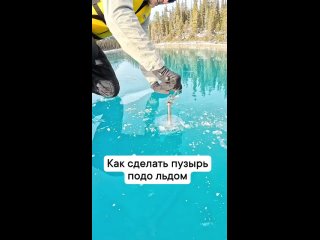 А это действительно интересно (видео)