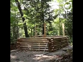 В одиночку построил себе домик в лесу
