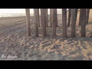 Секс на пляже ( Nudists )tan video