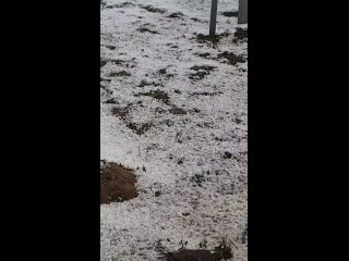 Похоже, самый сильный град в первый день лета был в Колташово Кетовского района (видео)