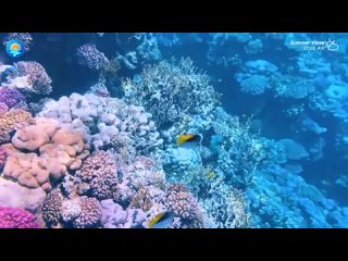 ДУШЕВНЫЕ ПЕСНИ