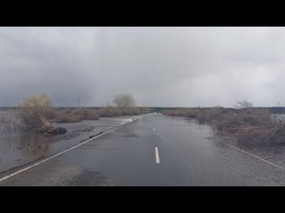 Дорога между Менщиково и Утятское  г. Наводнение.