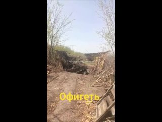 Донецкая область.