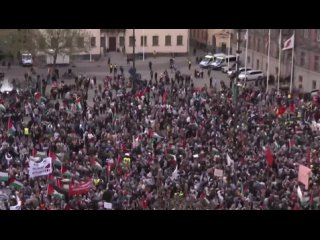 Una manifestacin masiva en Malm, Suecia, en apoyo a Palestina