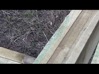 Видео от Дом Групп  строительство домов из СИП-панелей